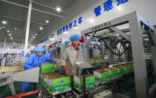 黑龙江农业工程职业学院 食品加工技术 省级重点专业 专业介绍